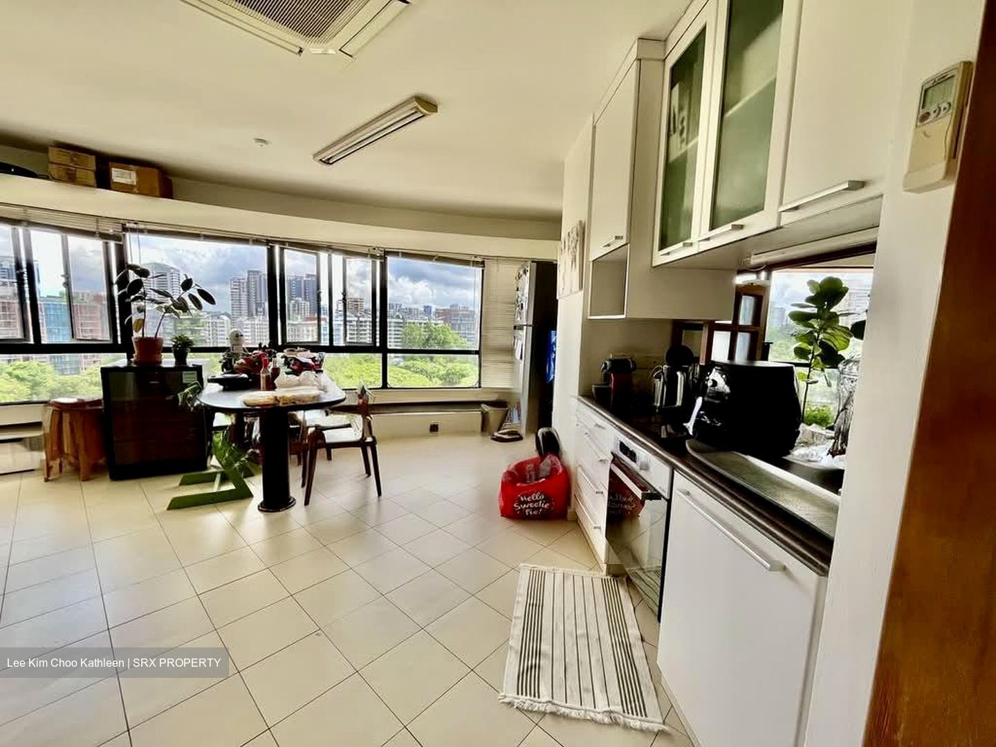 The Draycott (D10), Apartment #568327941